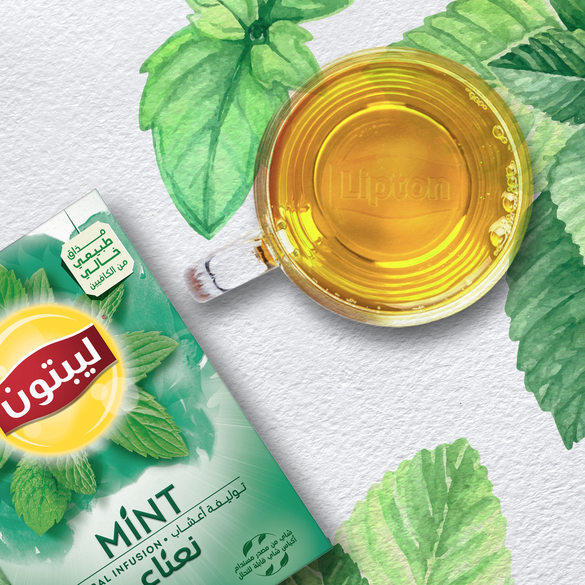 Lipton Mint Herbal Infusion Tea 20 Teabags