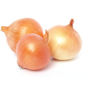 Holland Organic Onion Yellow 1 pkt
