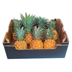 Baby Pineapple South Africa 8 pcs