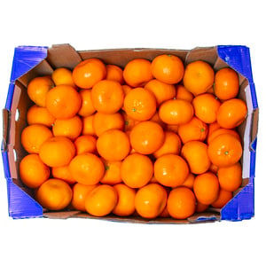 Nadorcott Mandarin Morocco 10 kg