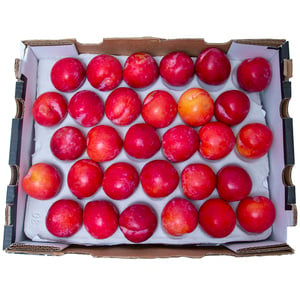 Plums Red South Africa 5 kg