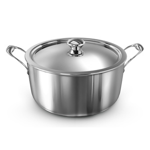 Delici Stainless Steel Triply Dutch Oven 24cm Magical