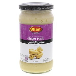 Shan Ginger Paste 310 g