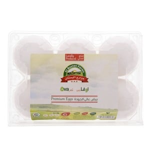Ova Premium White Eggs Large 6 pcs