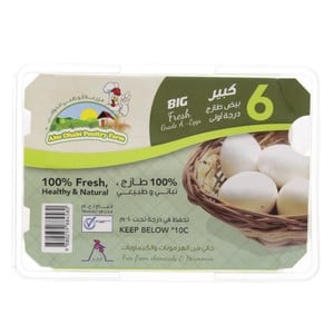 أبو ظبي بيض أبيض كبير 6 حبات