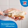 Al Ain Farms Cream Cheese Value Pack 2 x 500 g