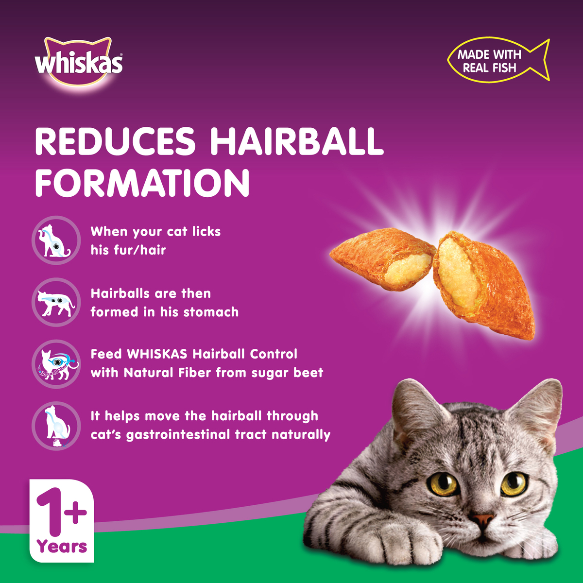 Whiskas Chicken & Tuna Hairball Control Dry Food for Adult Cats 1.1 kg