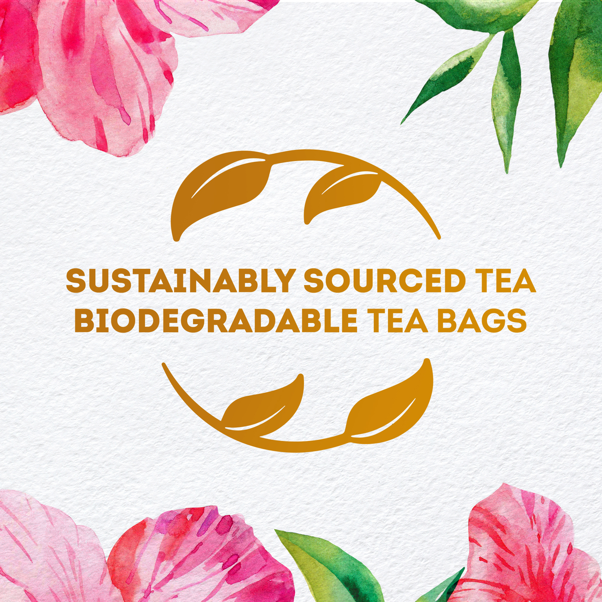 Lipton Hibiscus Herbal Infusion Tea 20 Teabags