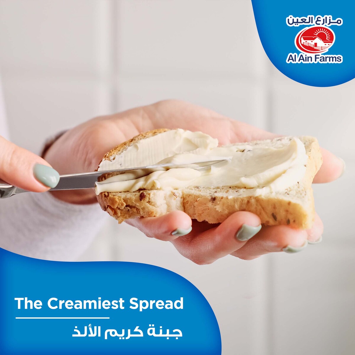 Al Ain Farms Cream Cheese Value Pack 2 x 500 g