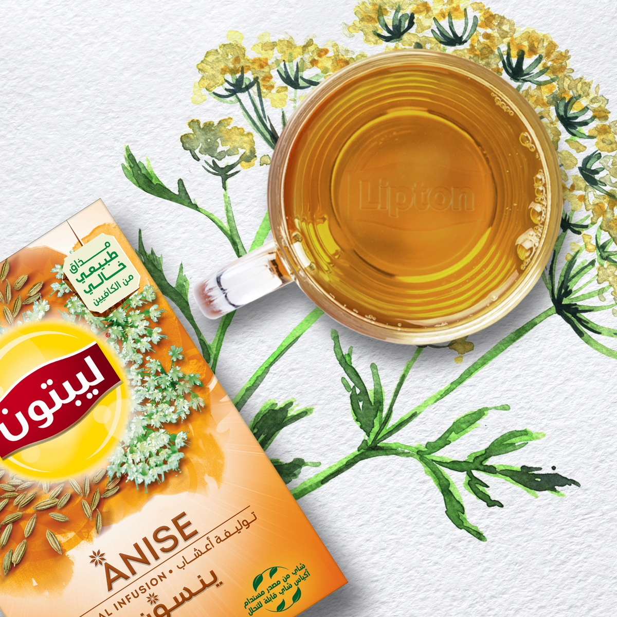Lipton Anise Herbal Infusion Tea 20 Teabags