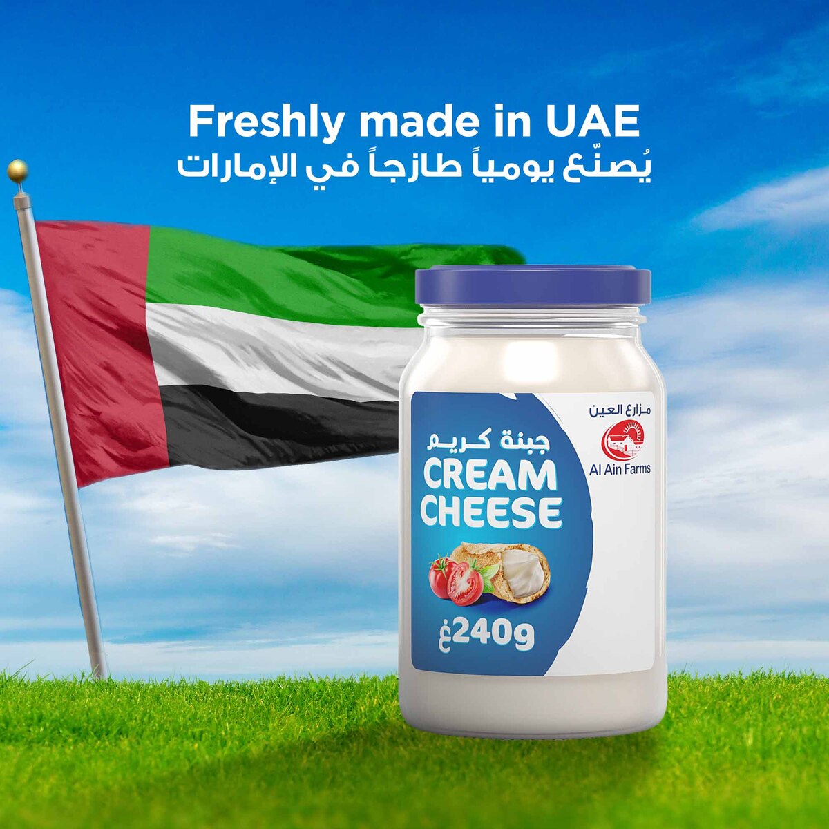 Al Ain Farms Cream Cheese Value Pack 3 x 240 g