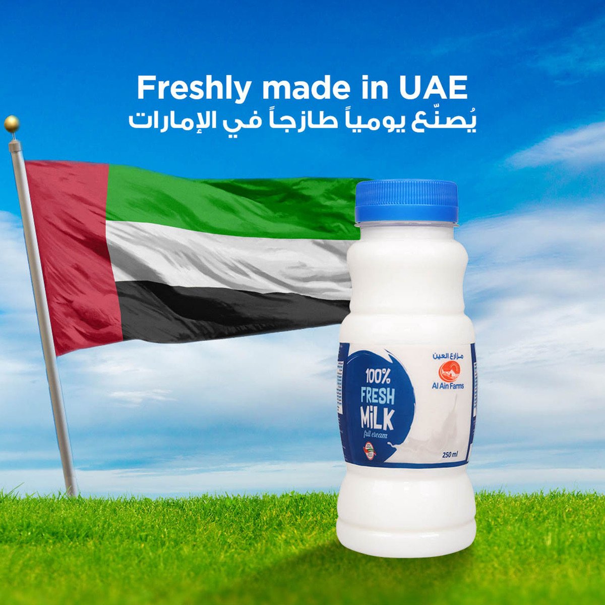 Al Ain Fresh Milk Full Cream 250 ml