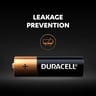 Duracell Type AA Alkaline Batteries, pack of 12