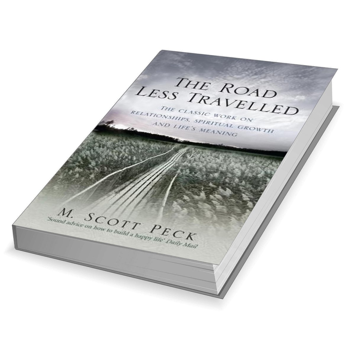 The Road Less Travelled : A New Psychology Of Love, Traditional Values And Spiritual Growth