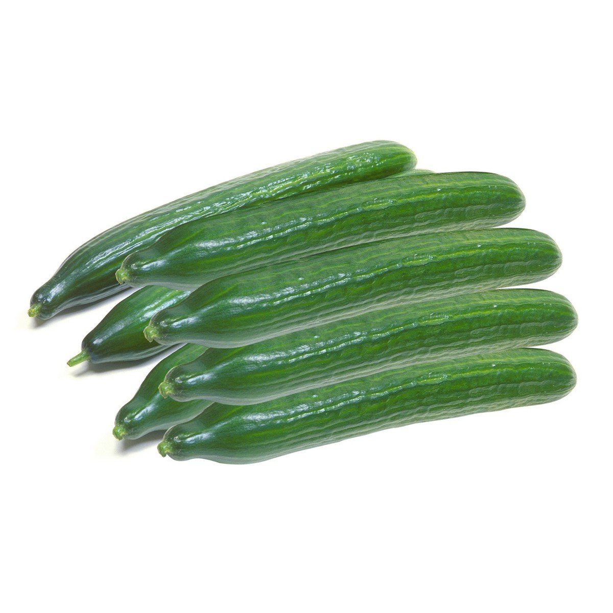 Cucumber Holland 1 kg