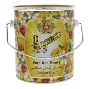 Langnese Pure Bee Honey Golden Clear 2 kg