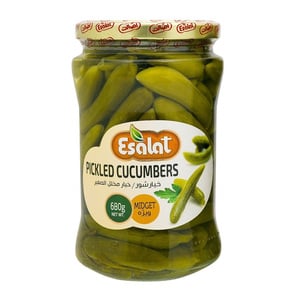 Esalat Pickled Cucumbers Midget 680 g