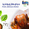 Al Khazna Fresh Whole Chicken 900 g