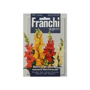 Franchi Giant Snapdragon Mixed Seeds