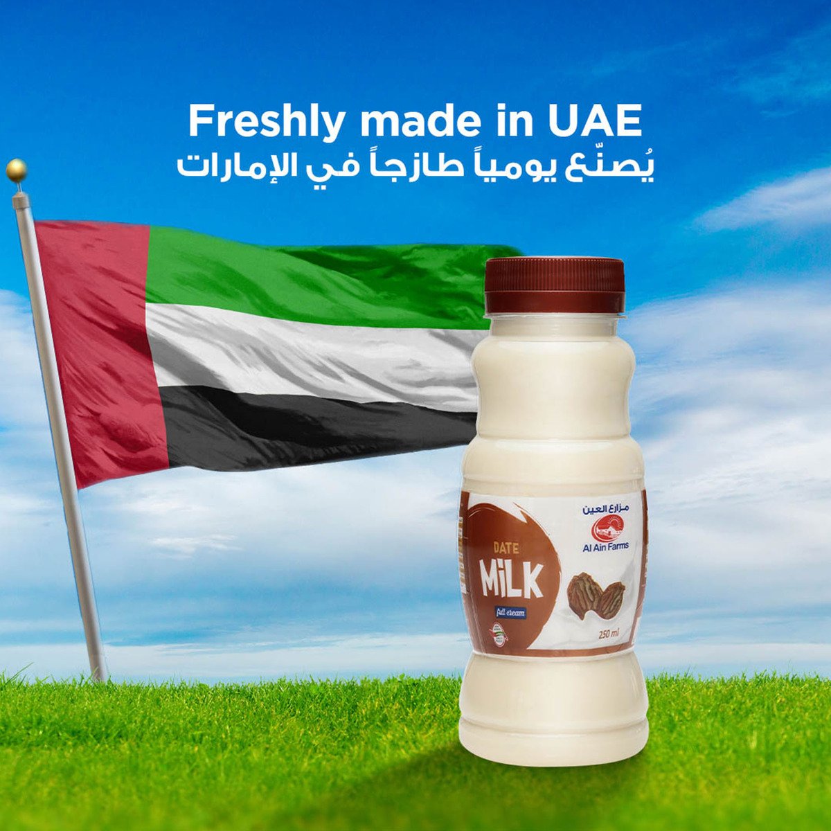 Al Ain Date Milk 250 ml