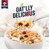 Quaker Crispy Oats Cereal Cranberry 400 g