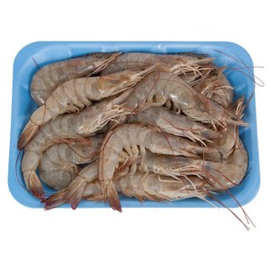 Fresh Shrimp Medium 500 g