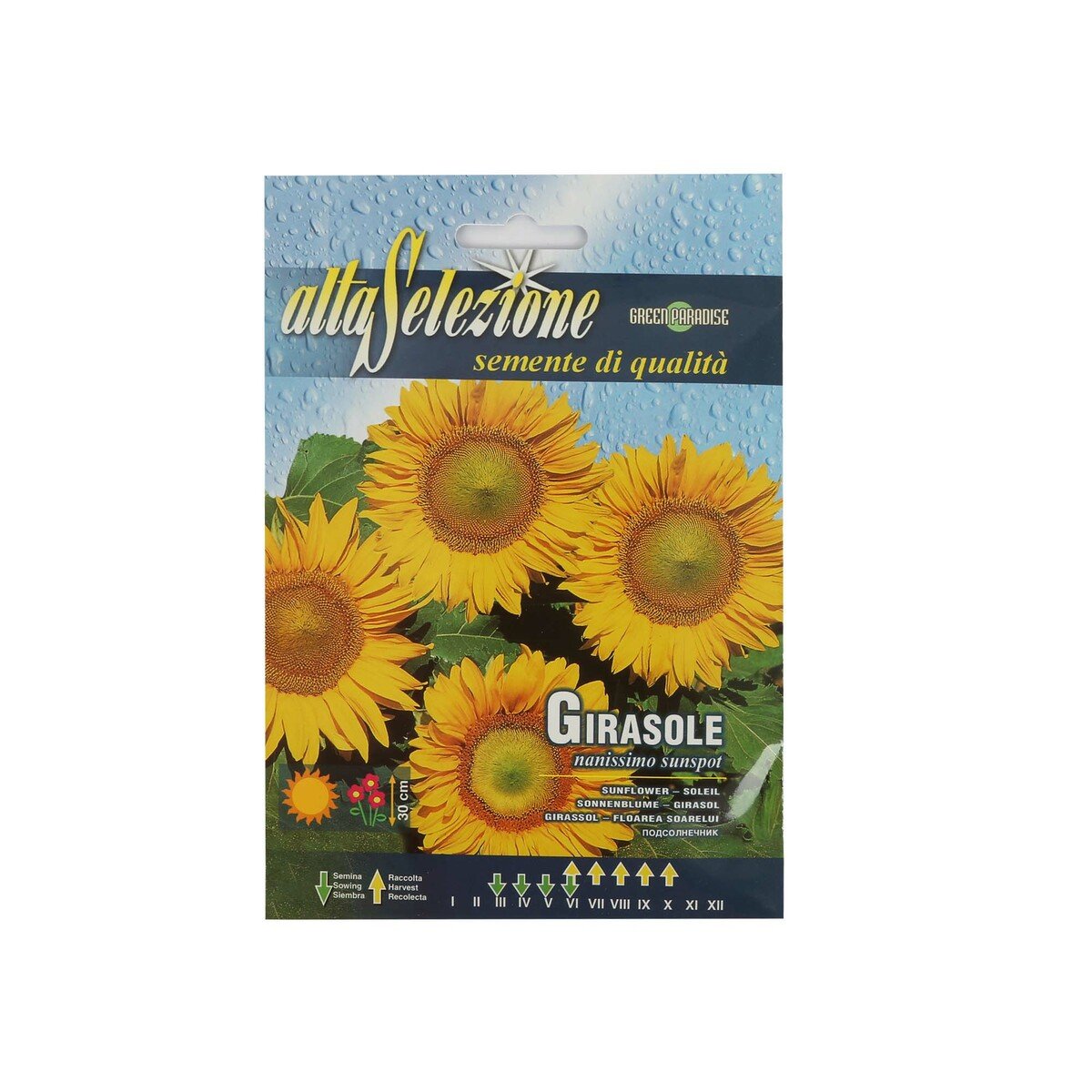 Alta Seeds Sunflower AFS 329/3 Online at Best Price | Seeds | Lulu UAE