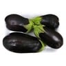 Eggplant Big Tray Pack 500 g