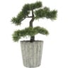 Home Style Flower With Pot Bonsai 309321