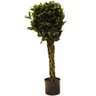 Home Style Bay Leaf Topiary With Pot- 90cm