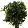 Home Style Bay Leaf Topiary With Pot- 90cm