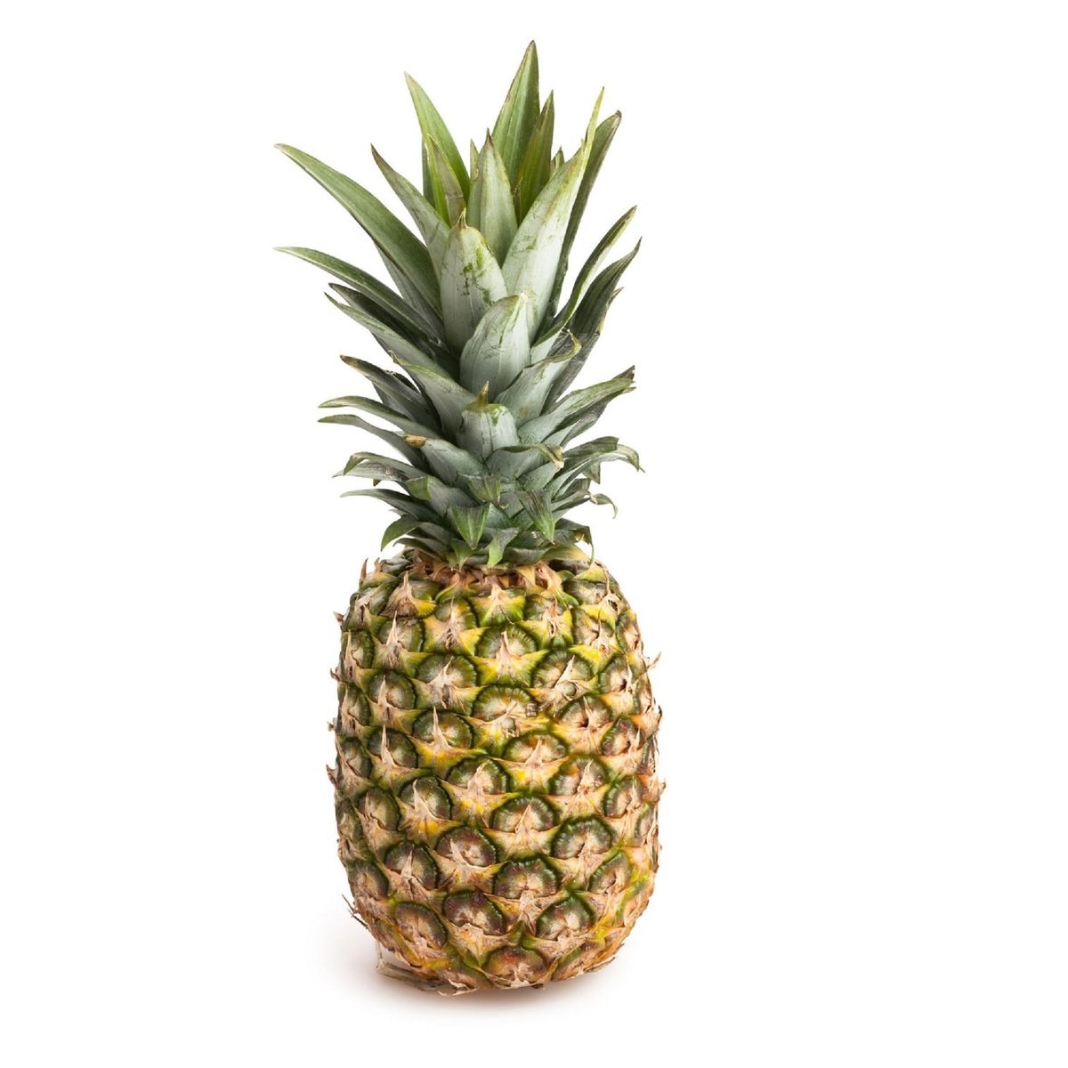 Pineapple Malaysia 1 pc