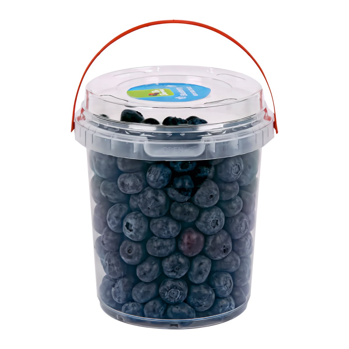 Blueberry Bucket 500 g