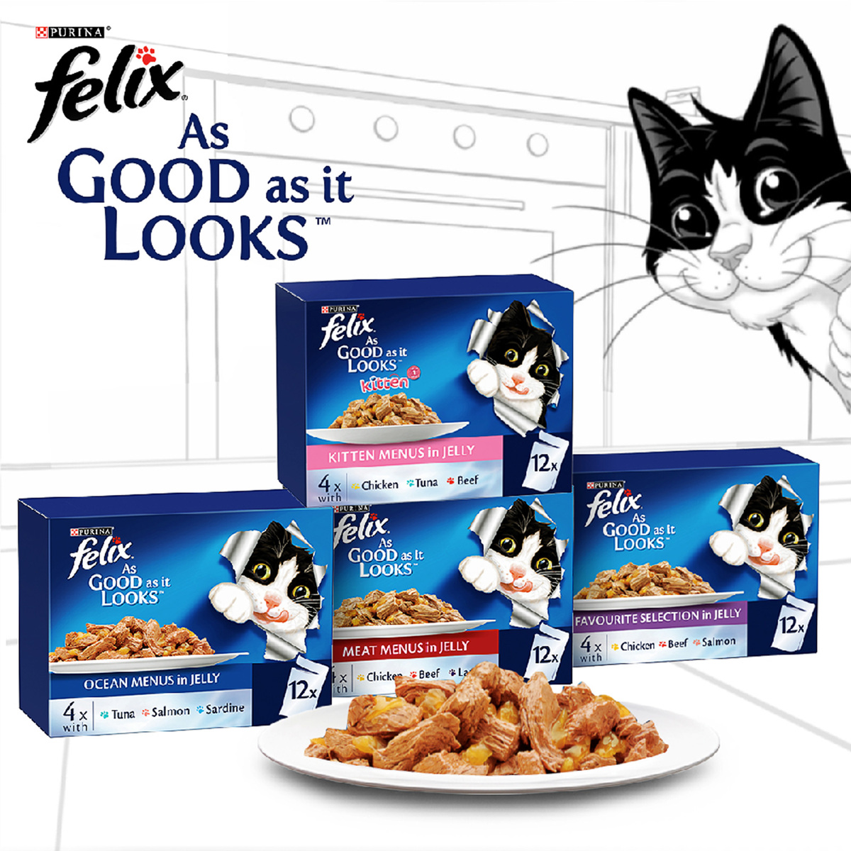 Purina Felix As Good As It Looks Delicious Favorite Selections In Jelly Cat Food ( Chicken Beef & Salmon ) 12 x 85 g