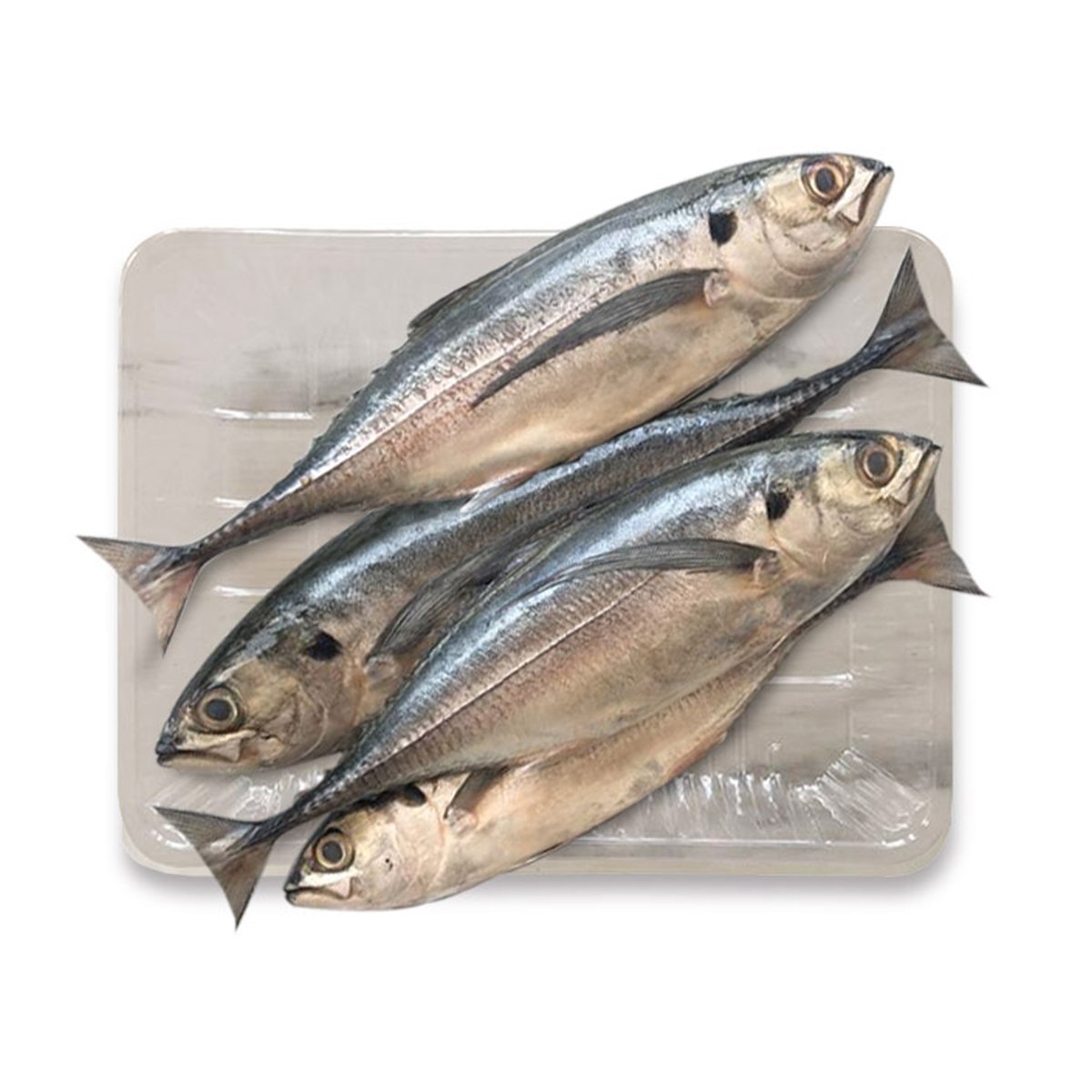 Cencaru(Scad Fish)1Kg Approx Weight Online at Best Price