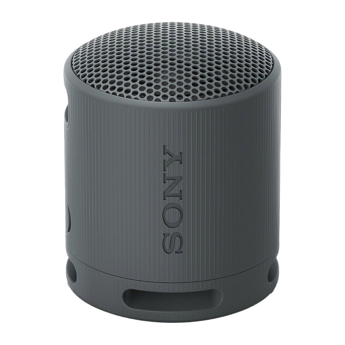 Sony SRS-XB100 Portable Wireless Speaker + Sony WH-CH520 Wireless Headphone Black