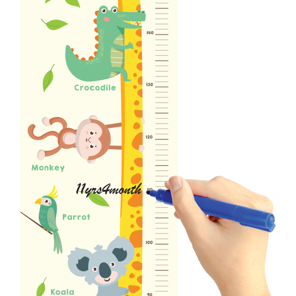 Sunta Printed Growth Chart, Multicolor, 2808