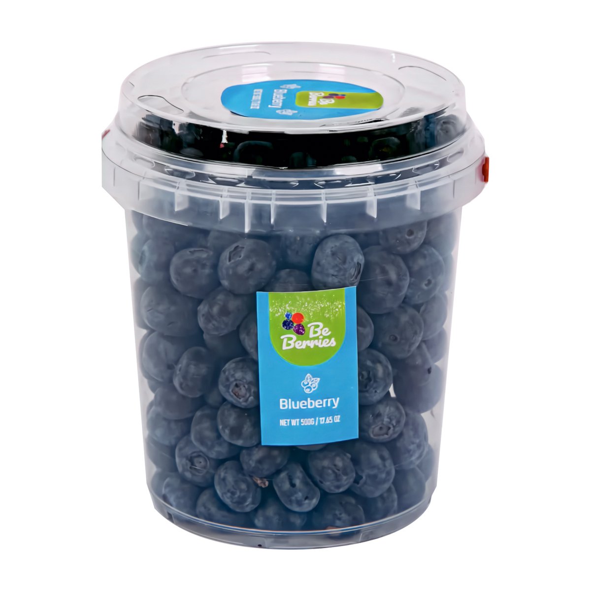 Blueberry Bucket 500 g