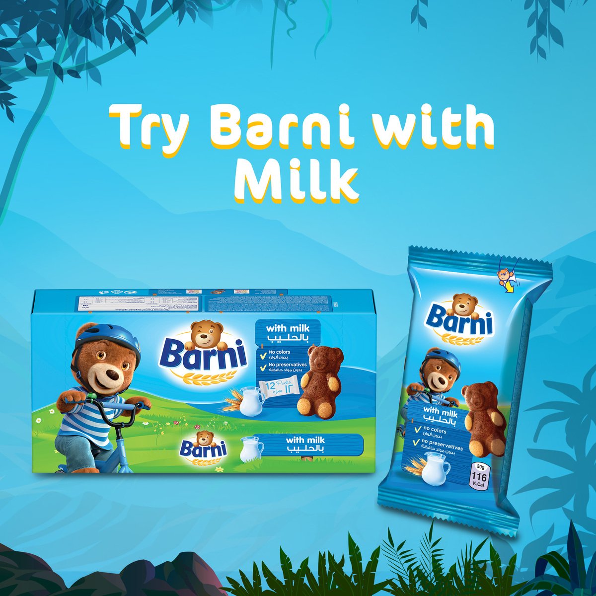 Barni Chocolate Cake 12 x 30 g