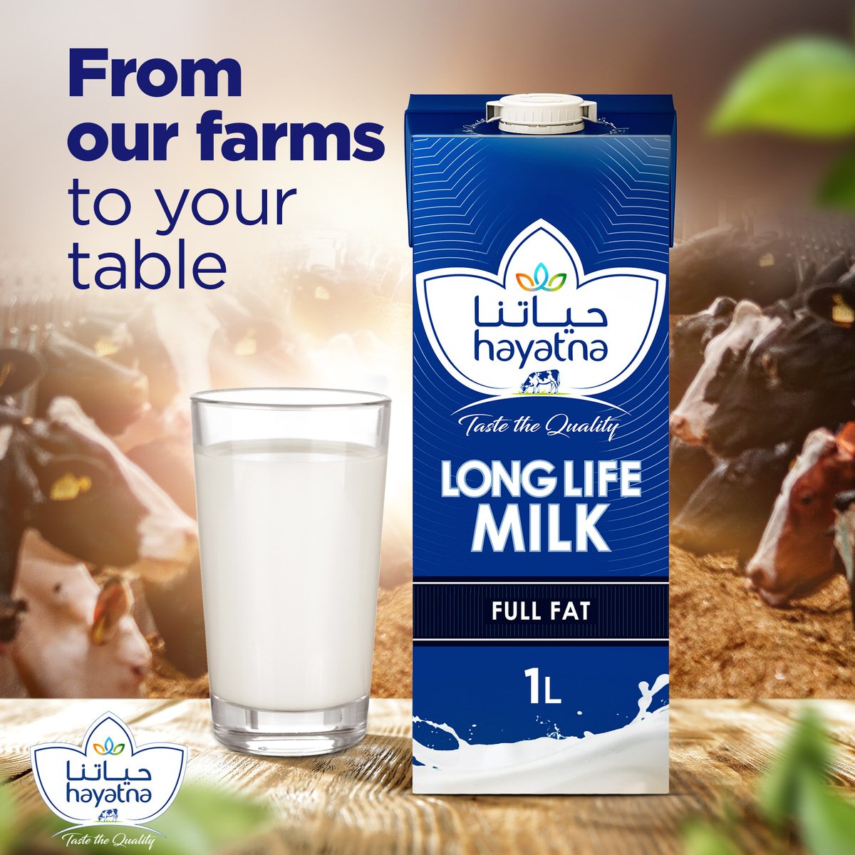 Hayatna Full Fat Long Life Milk 1 Litre