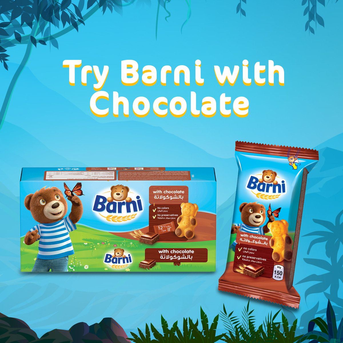 Barni Milk Cake Value Pack 12 x 30 g