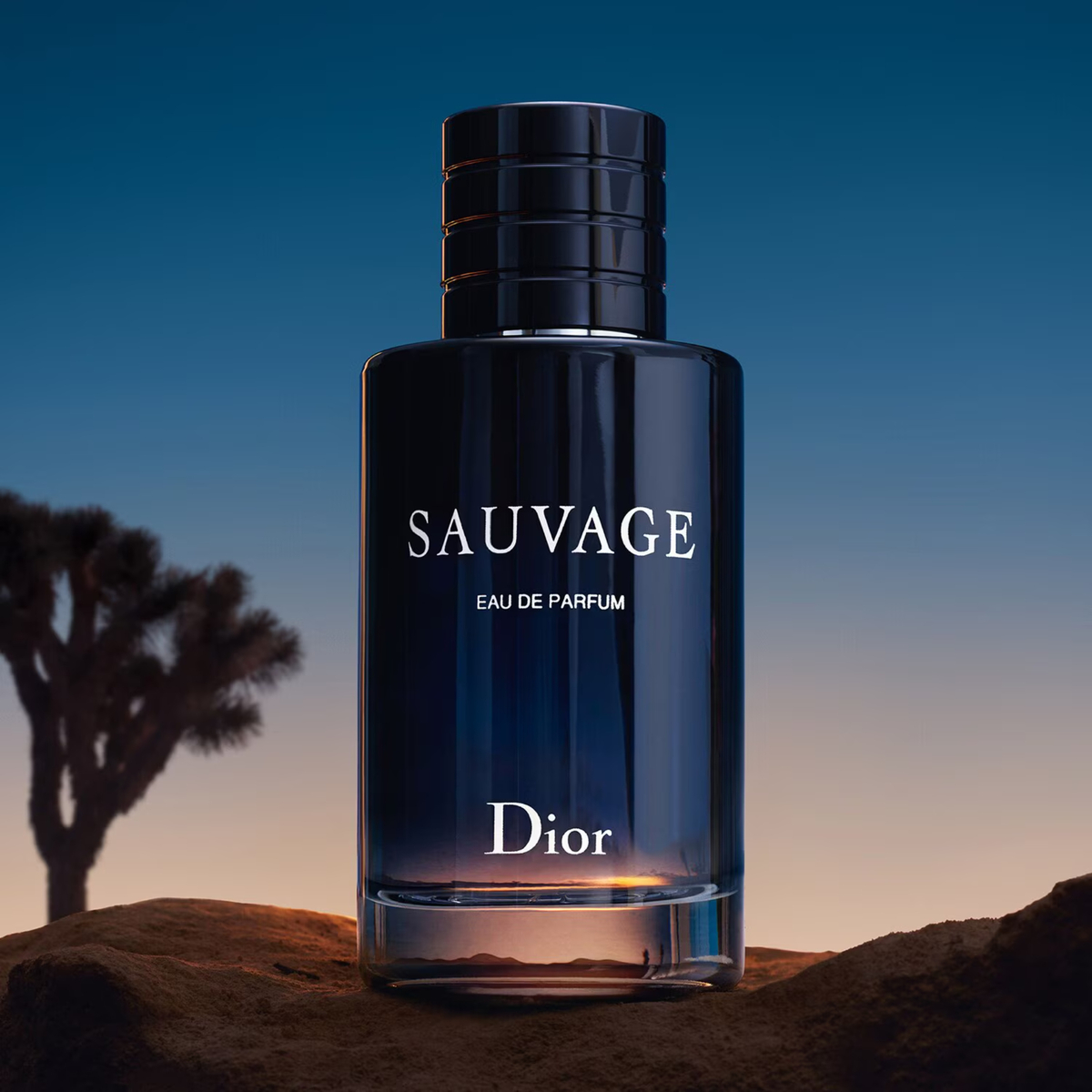 Dior Sauvage Eau De Parfum For Men 200ml