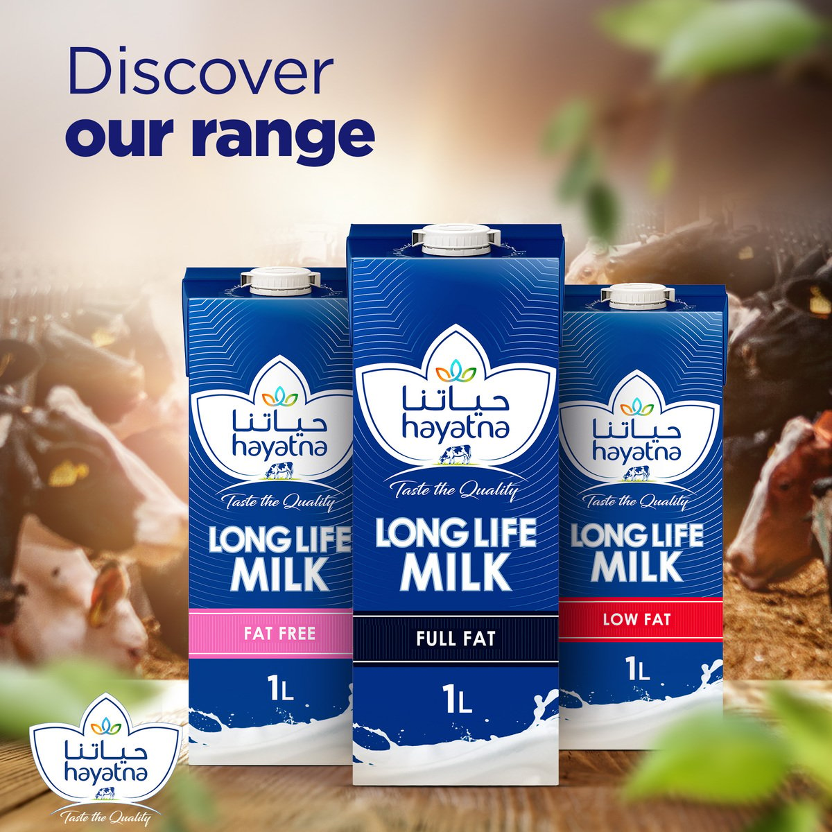 Hayatna Full Fat Long Life Milk 4 x 1 Litre