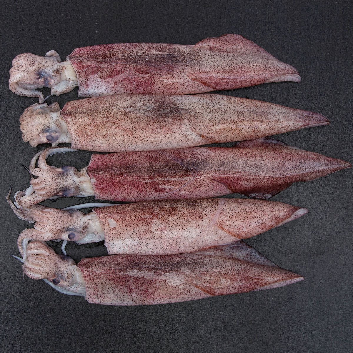 Fresh Squid Whole Not Cleaned 500 g