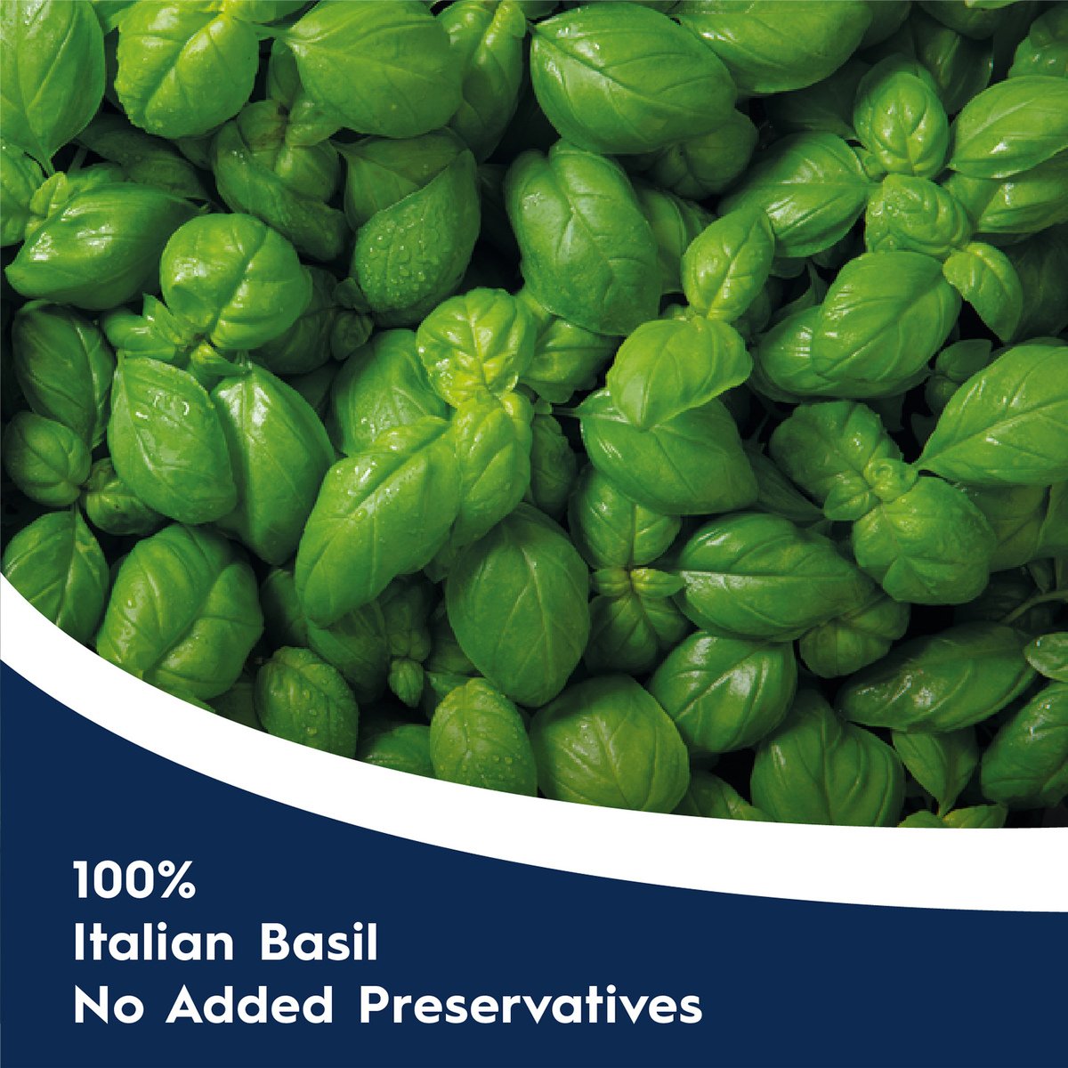 Barilla Pesto Basilico Peperoncino Pasta Sauce 195 g