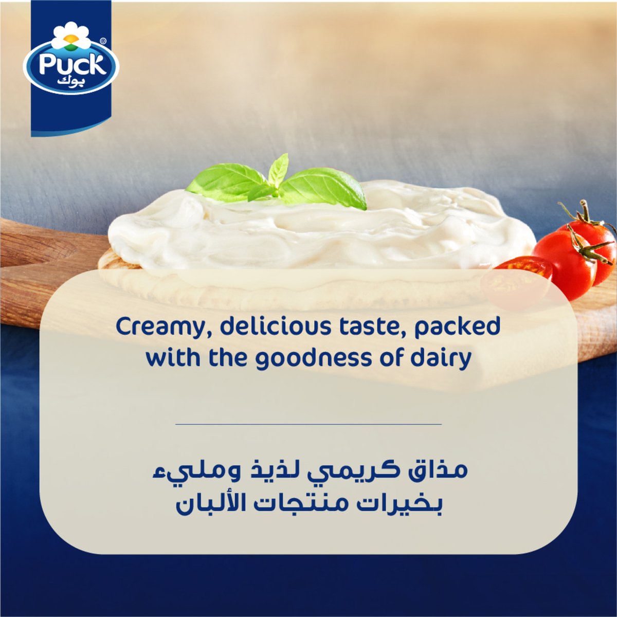 Puck Cream Cheese Spread 500 g