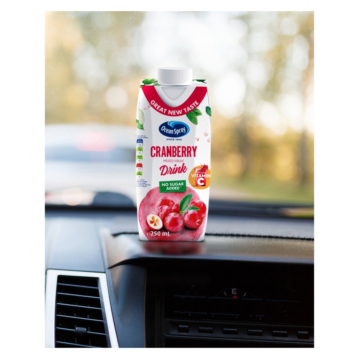 Ocean Spray Cranberry Mixed Fruit Drink No Added Sugar 250 ml