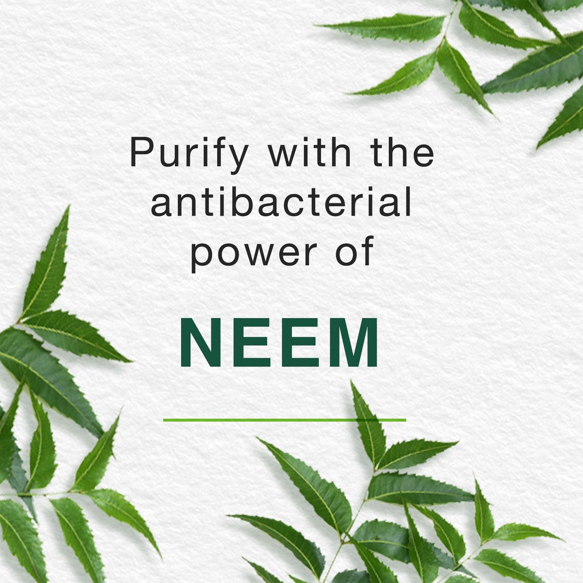 Himalaya Face Wash Purifying Neem 150 ml