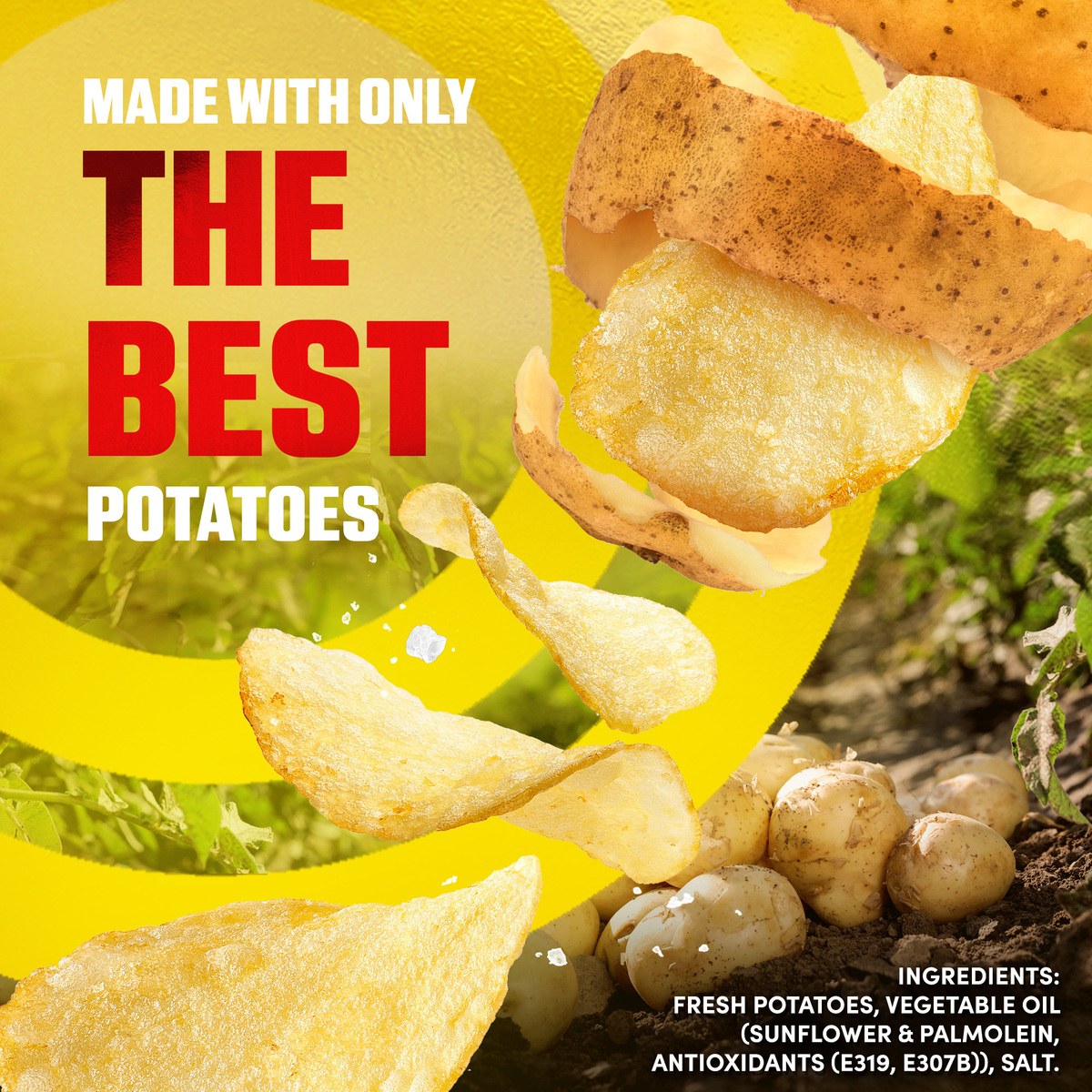 Lay's Salt Potato Chips 204 g