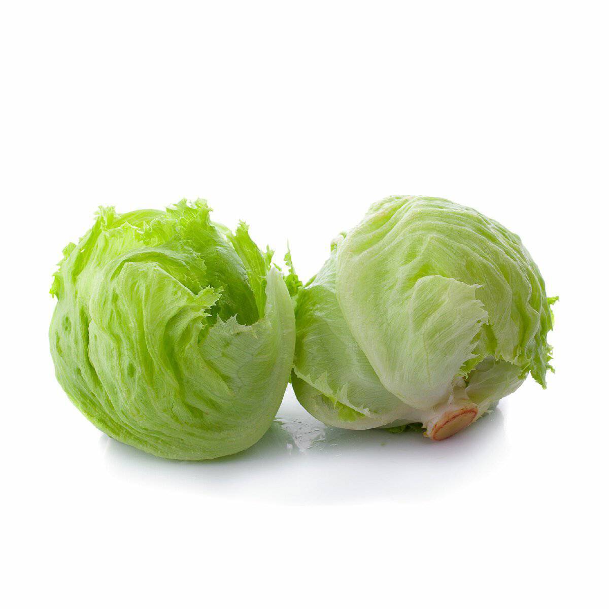 Iceberg Lettuce 2.4 kg